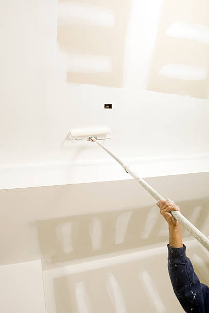Reliable Contra Costa Centre, CA Mold Removal Solutions